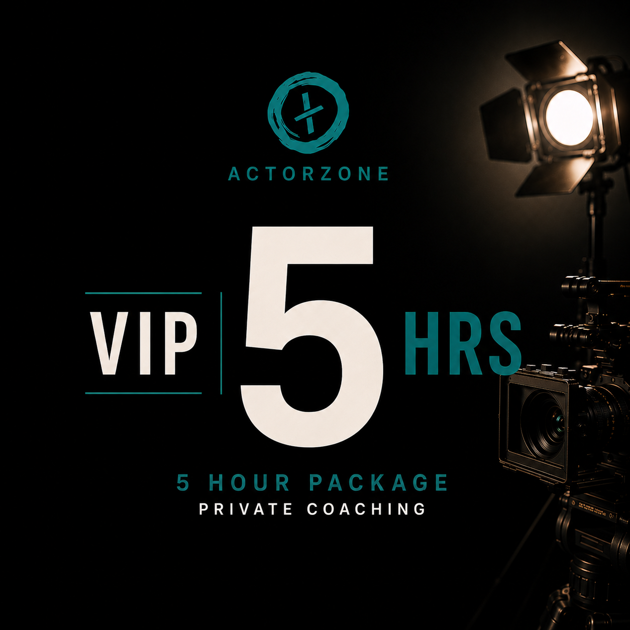 VIP 5 Hour Coaching Package