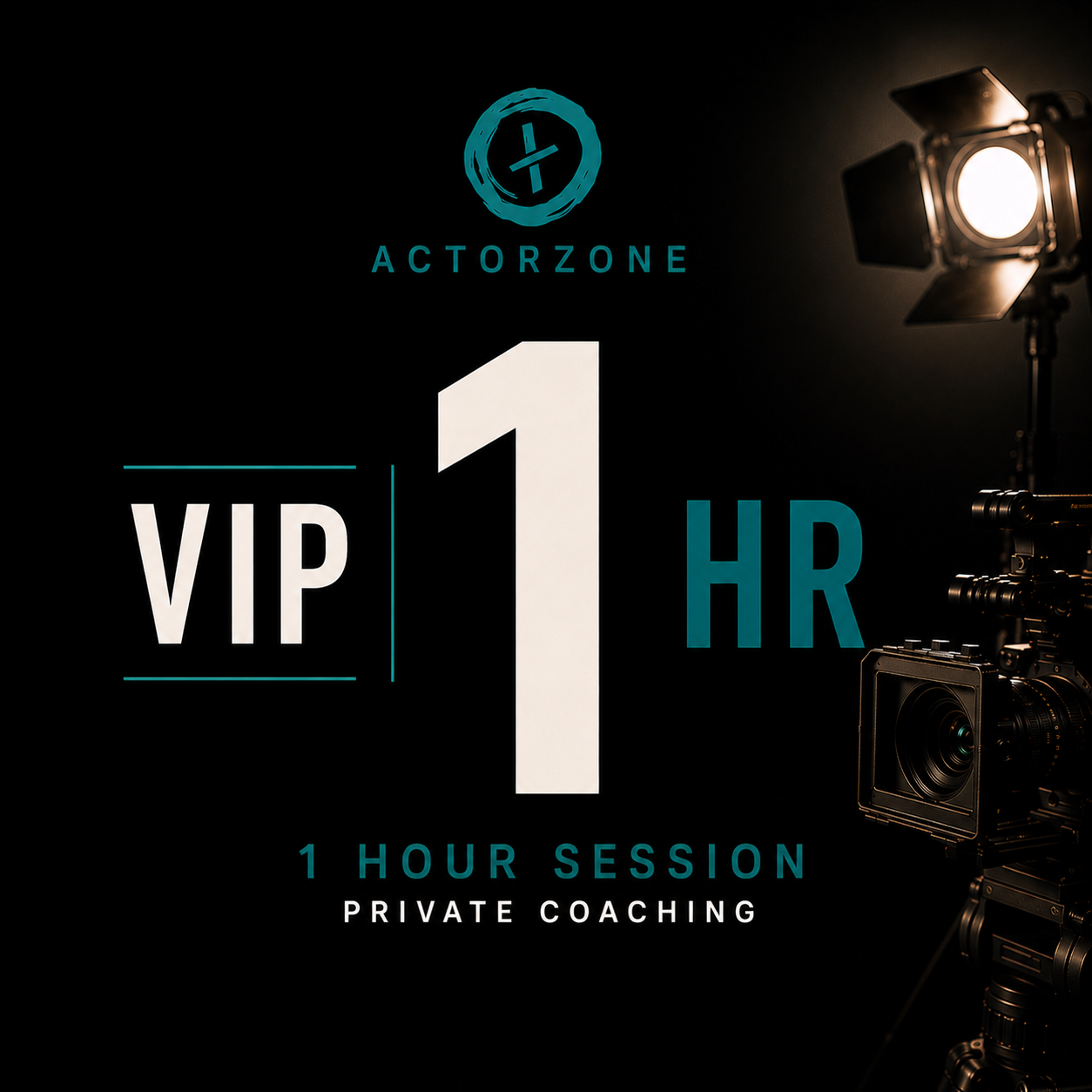 VIP 1 Hour Coaching